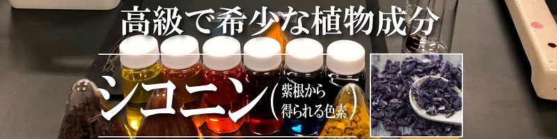 SUNA�J���[�g���[�g�����g���T�C�g